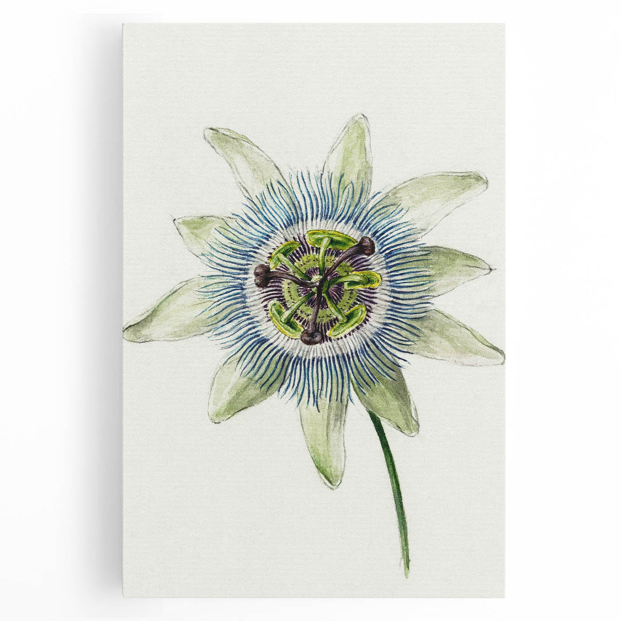 Famous Romantic Era Art: Passion Flower - Romantic Floral Canvas