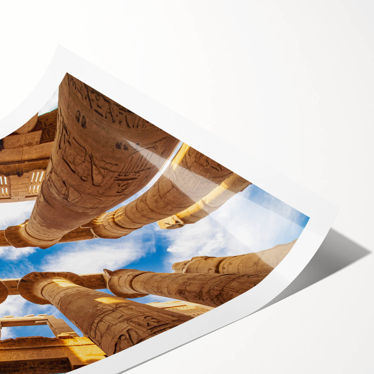 Extra large wall art featuring line art flowers in vibrant colors on a rolled print, ideal for large living room decor.