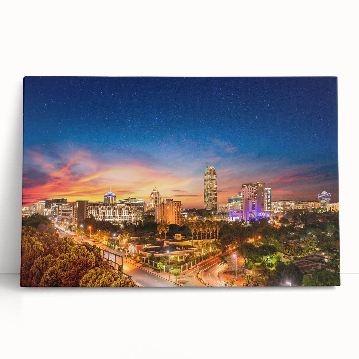 Black and white stretched canvas of African savanna scenery, ideal for kitchen wall art or bedroom ambiance.