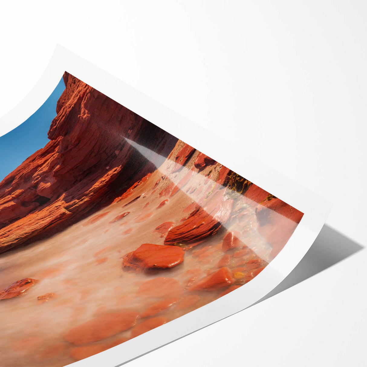 Extra large wall art featuring line art flowers on a rolled print, in muted greens and earth tones.