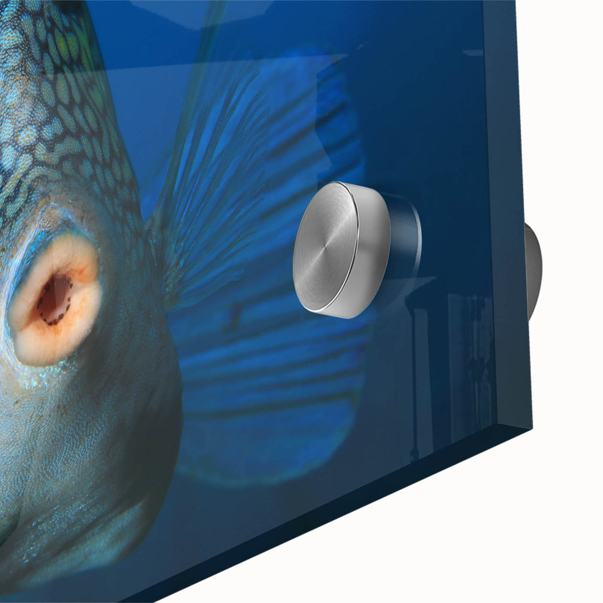 Large abstract wall art featuring Caribbean Aruba scenery in muted blue and green tones on acrylic glass.