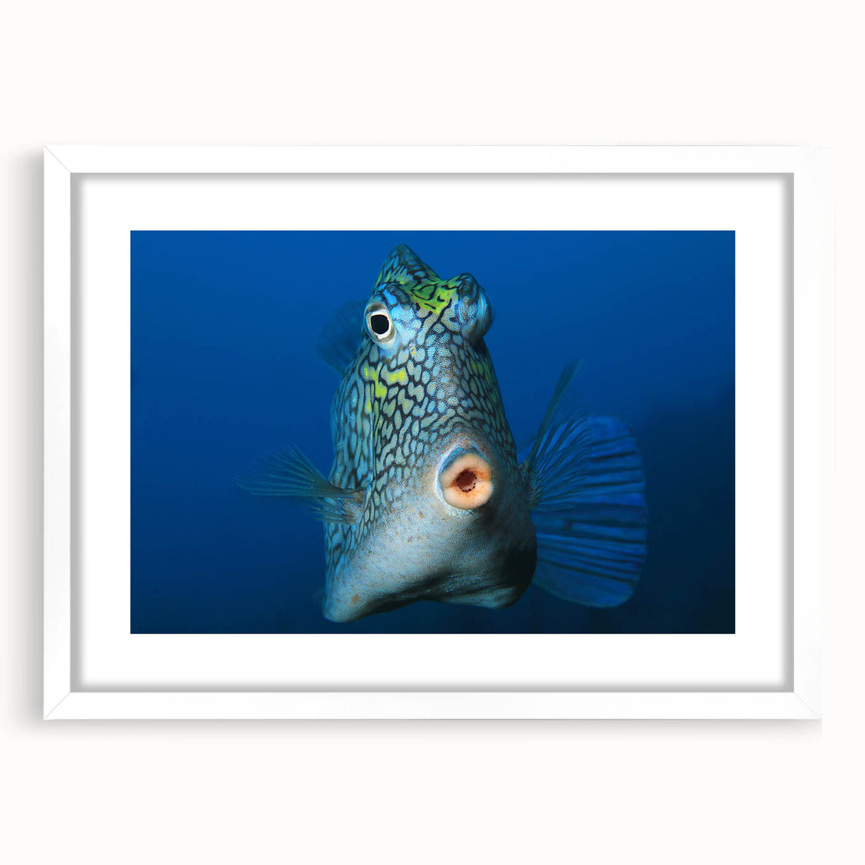 Textured abstract art print of a Caribbean scene in muted blue and green hues, framed in white, ideal for bedroom decor.