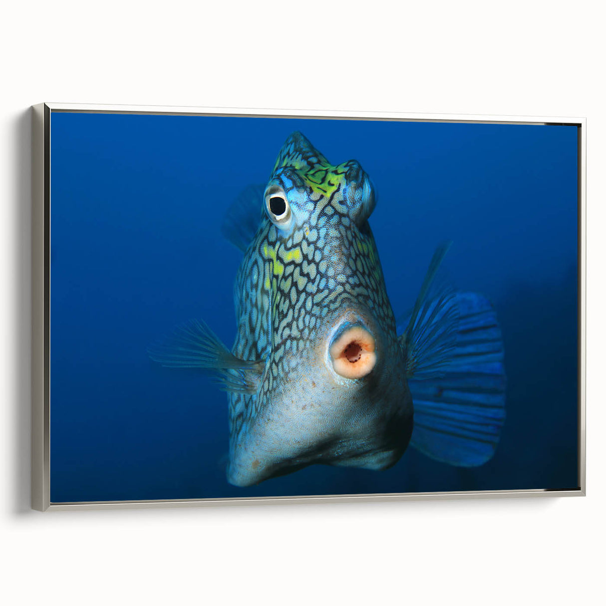 Framed canvas depicting a vintage Caribbean landscape in muted earth tones, ideal for bedroom decor.