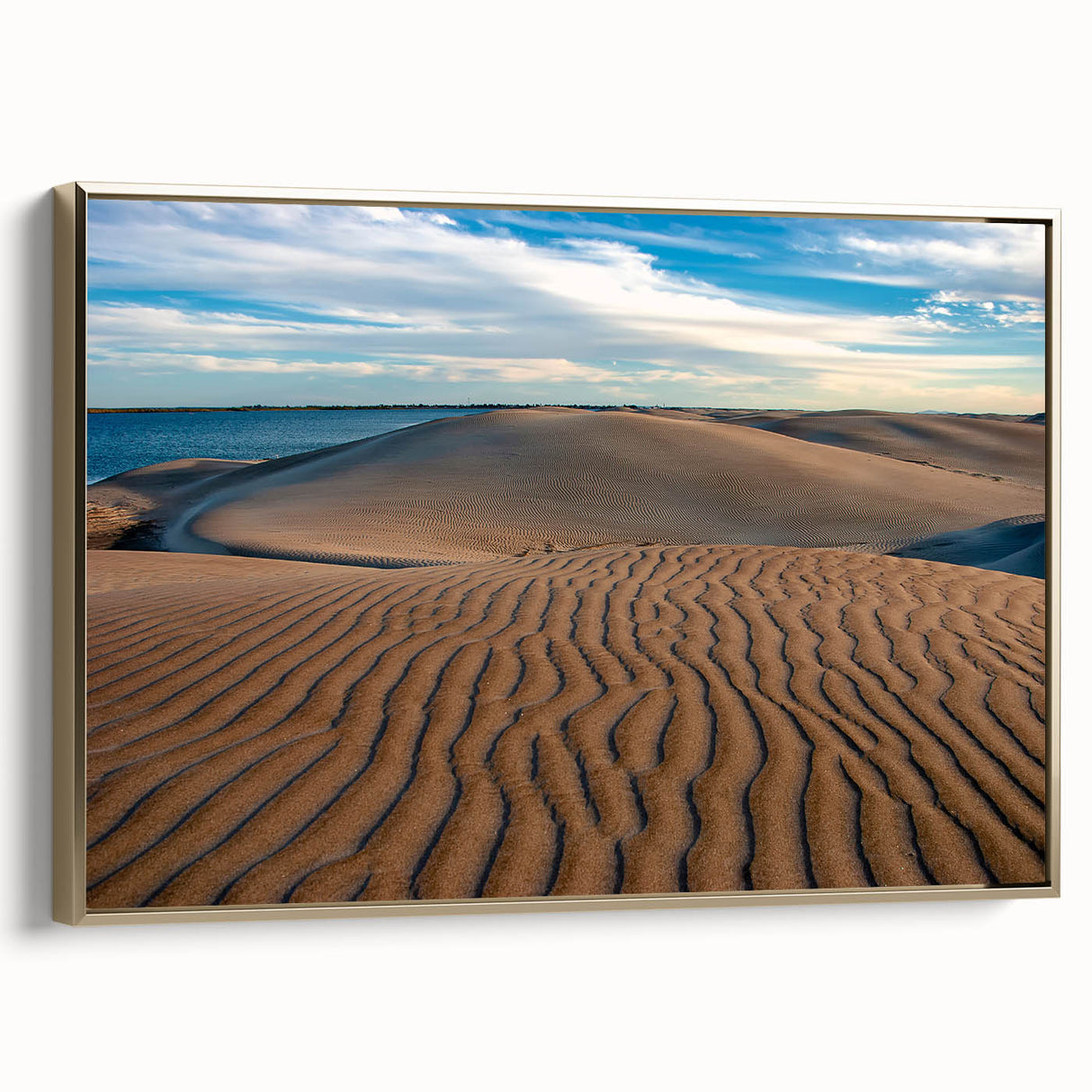 Framed canvas of Baja California landscape with muted gold and black tones, ideal for bedroom wall art.