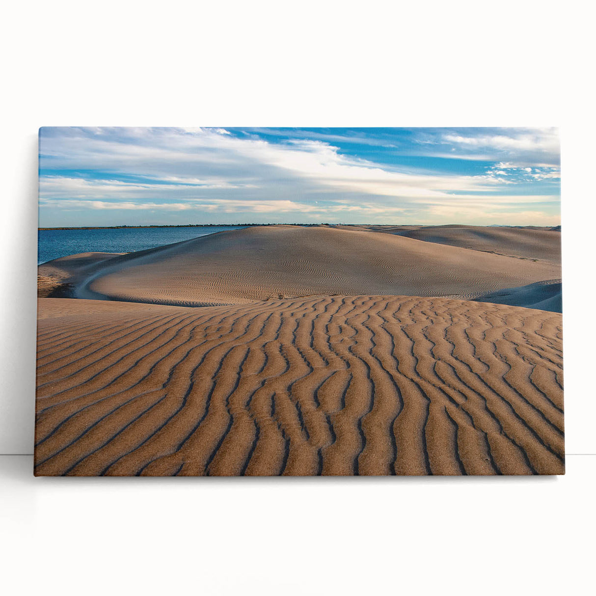 Black and white stretched canvas of Baja California scenery, ideal for kitchen wall art or bedroom ambiance.