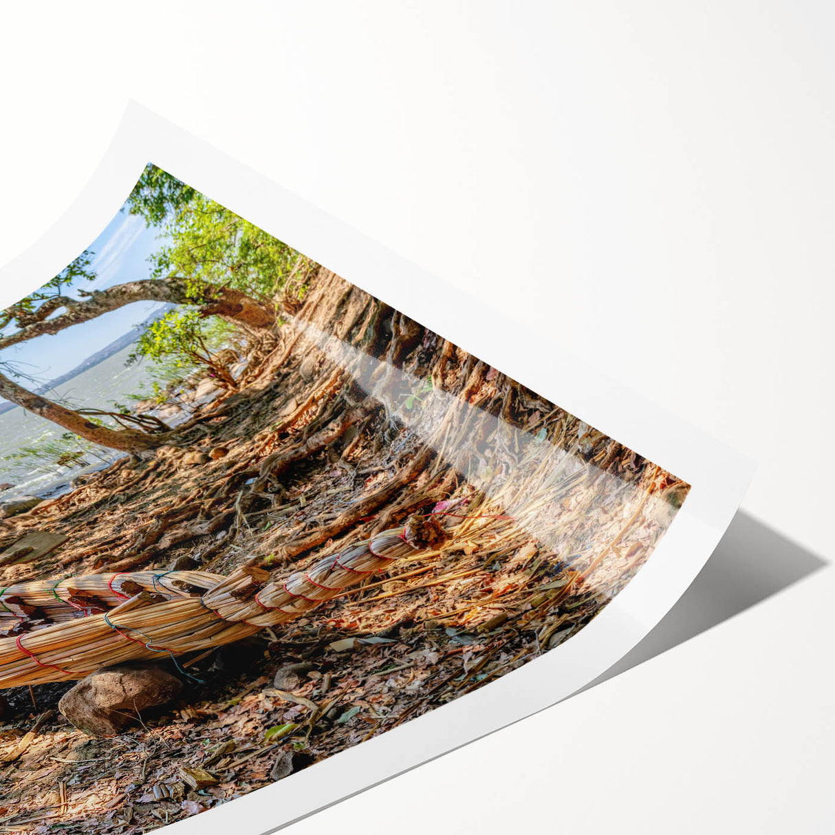 Extra large wall art featuring line art flowers in muted earth tones on a rolled canvas.