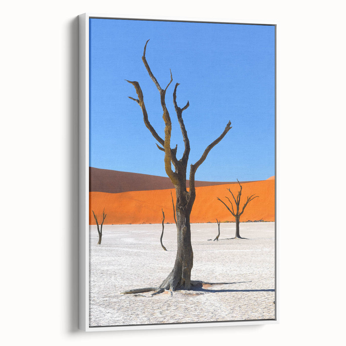 Framed canvas of a Namibian landscape in muted earth tones, ideal for bedroom wall art.