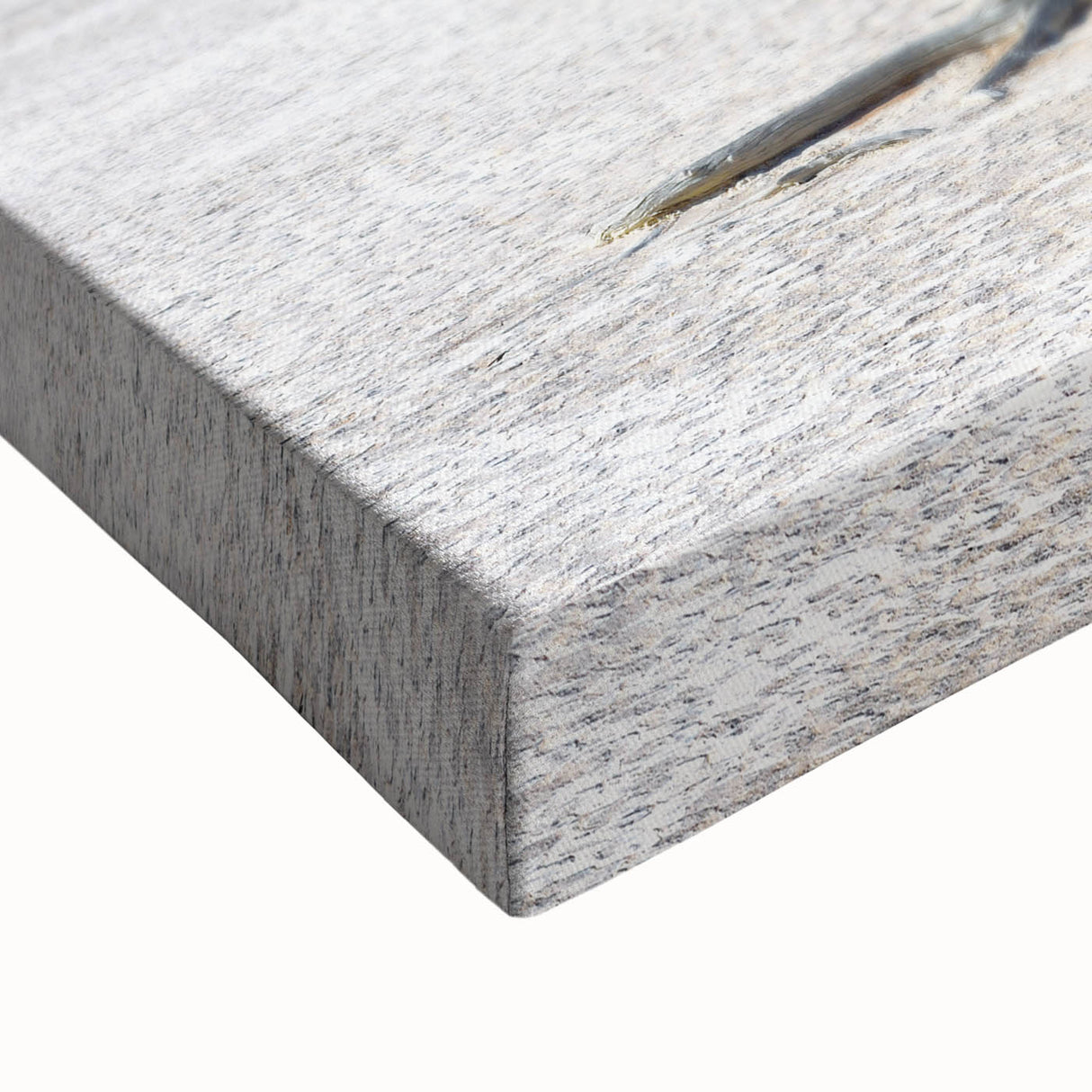 Large art of a black and white Namibian landscape on stretched canvas, ideal for bedroom wall decor.