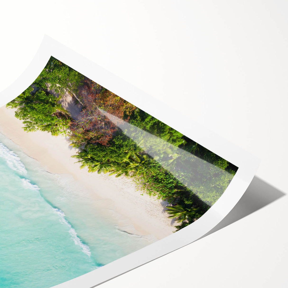 Extra large wall art featuring line art flowers in monochrome on a rolled canvas, suitable for large living room decor.