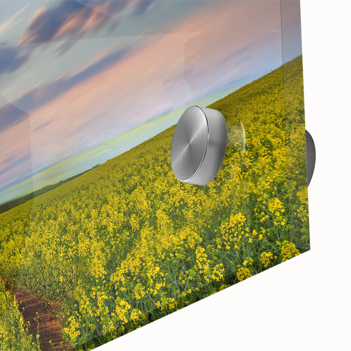 Large abstract wall art featuring a mid-century modernist style acrylic print of Bangladesh scenery.