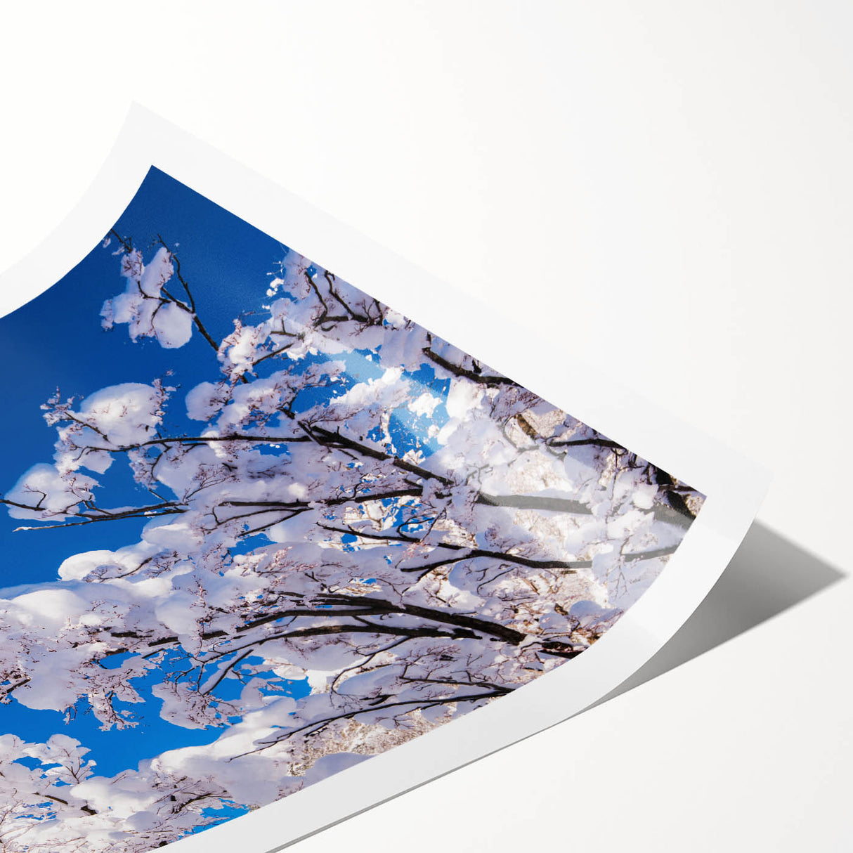 Extra large wall art featuring line art flowers in muted earth tones on a rolled print, ideal for large living room decor.