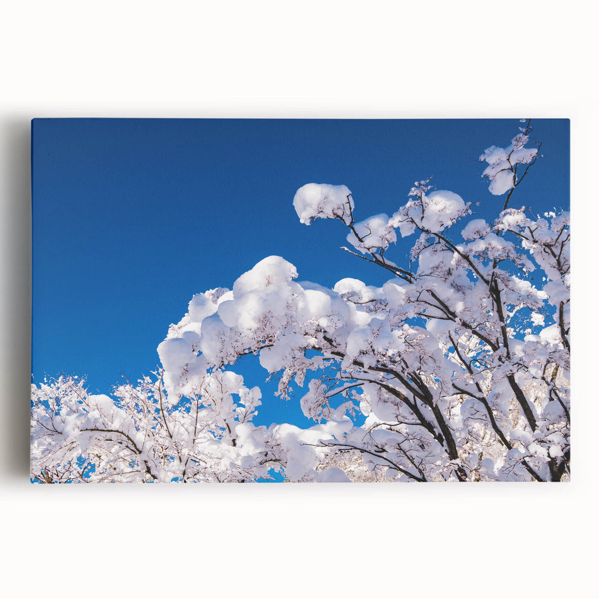 Black and white landscape of a Korean scenery on large stretched canvas, suitable for kitchen wall art.