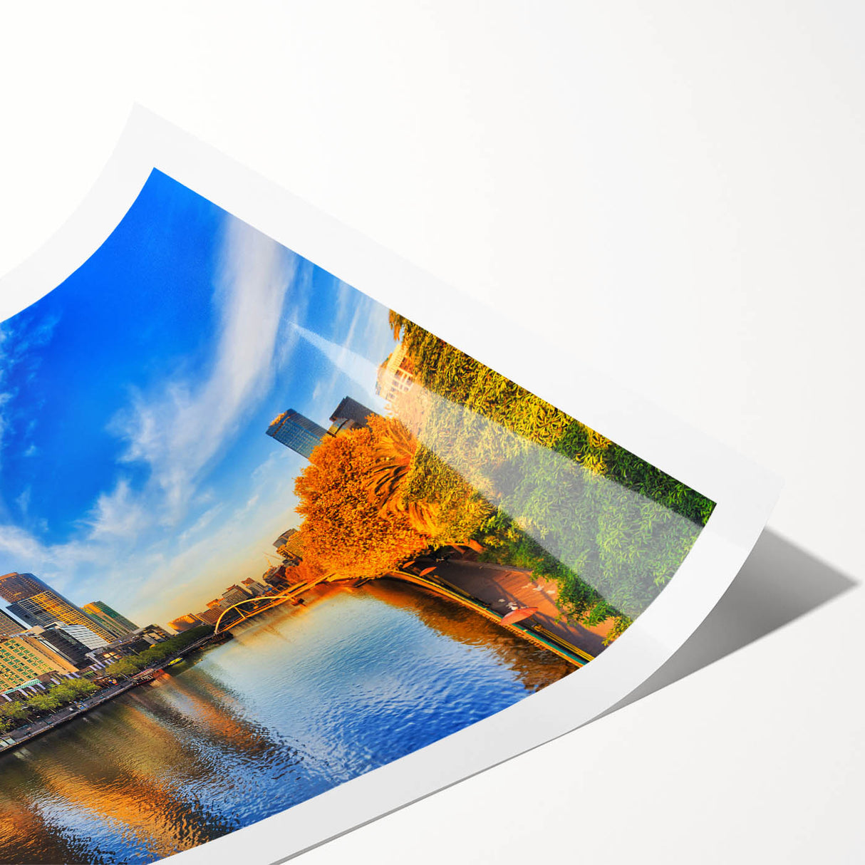 Extra large wall art featuring line art flowers in black on white, rolled print, ideal for large living room wall decor.