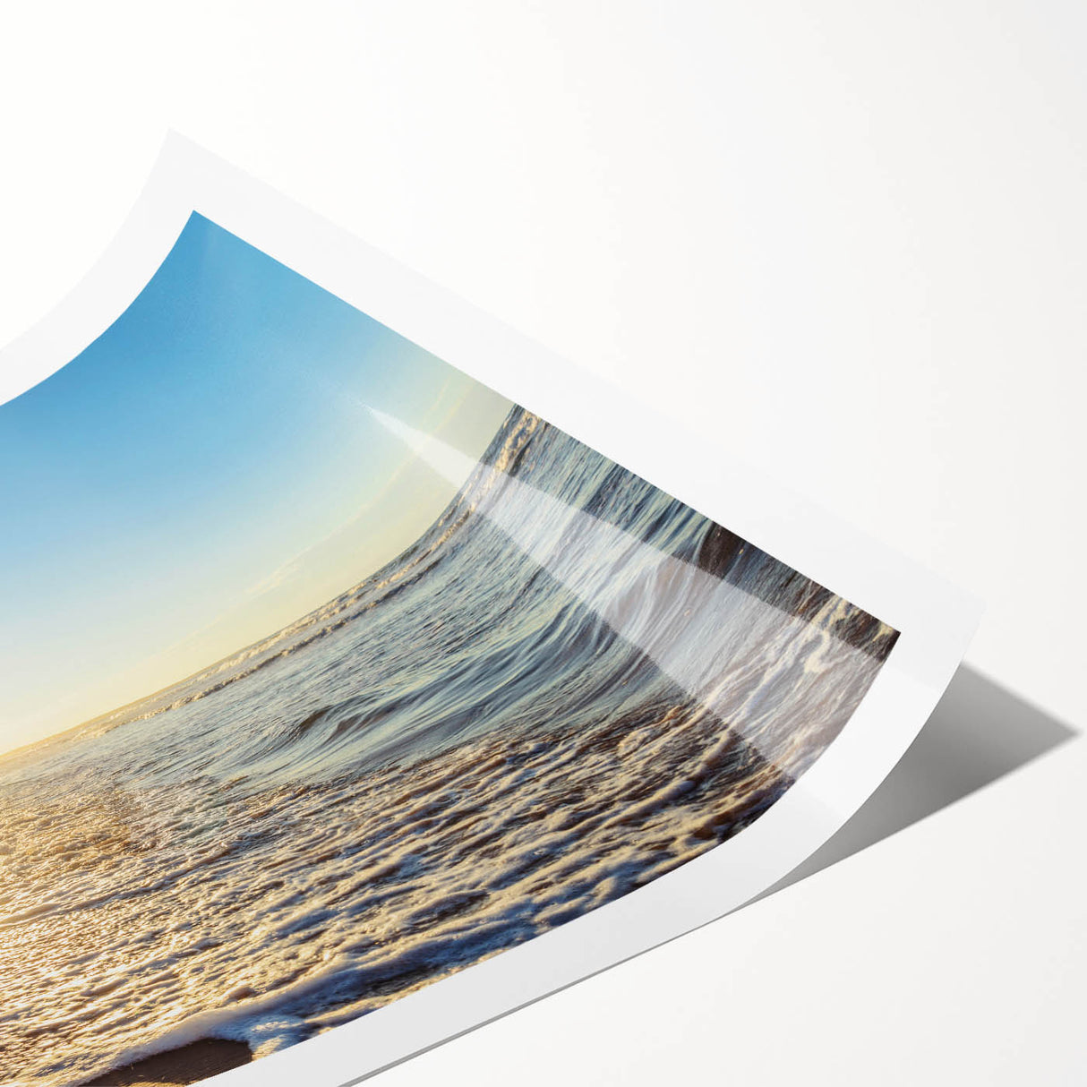 Extra large wall art featuring line art flowers on rolled print, in muted earth tones, ideal for large living room decor.