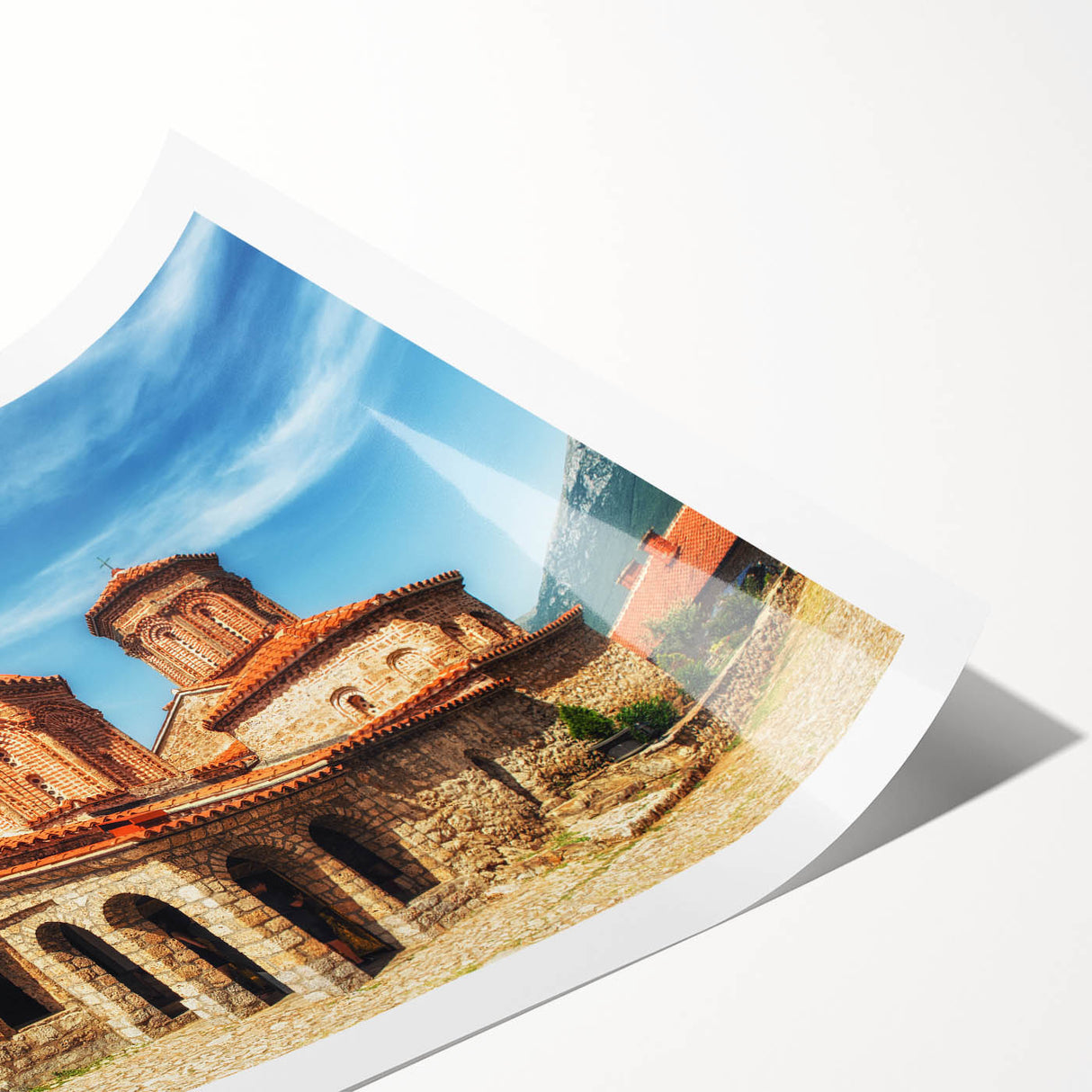 Extra large rolled print featuring line art flowers in monochrome, ideal for large living room wall art.