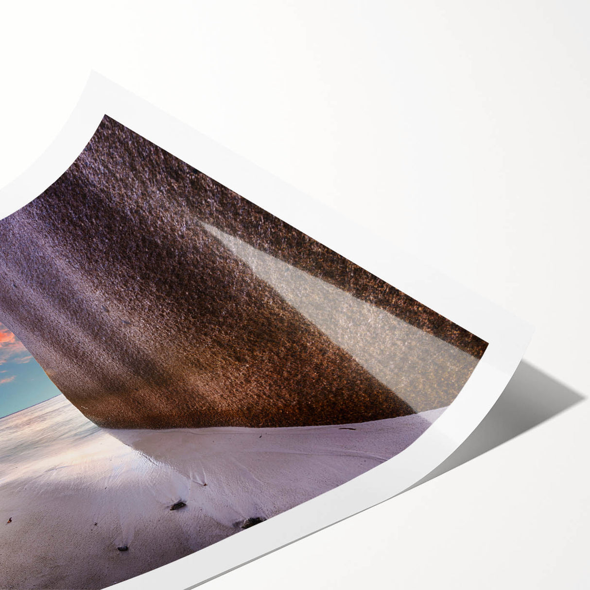 Extra large wall art featuring line art flowers in a Seychelles scenery on rolled print, ideal for large living room decor.