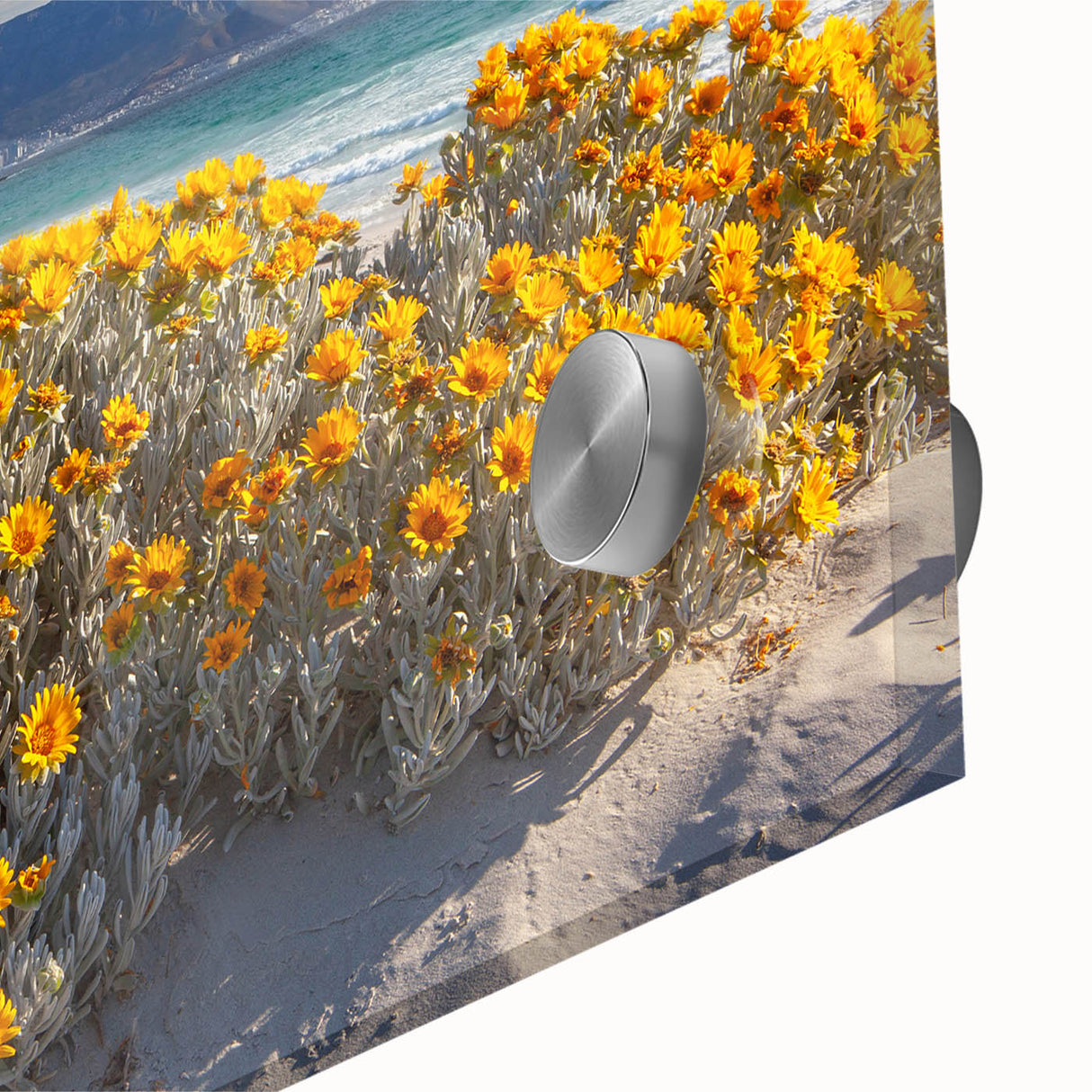 Large abstract wall art depicting an African landscape in muted earth tones on acrylic glass.