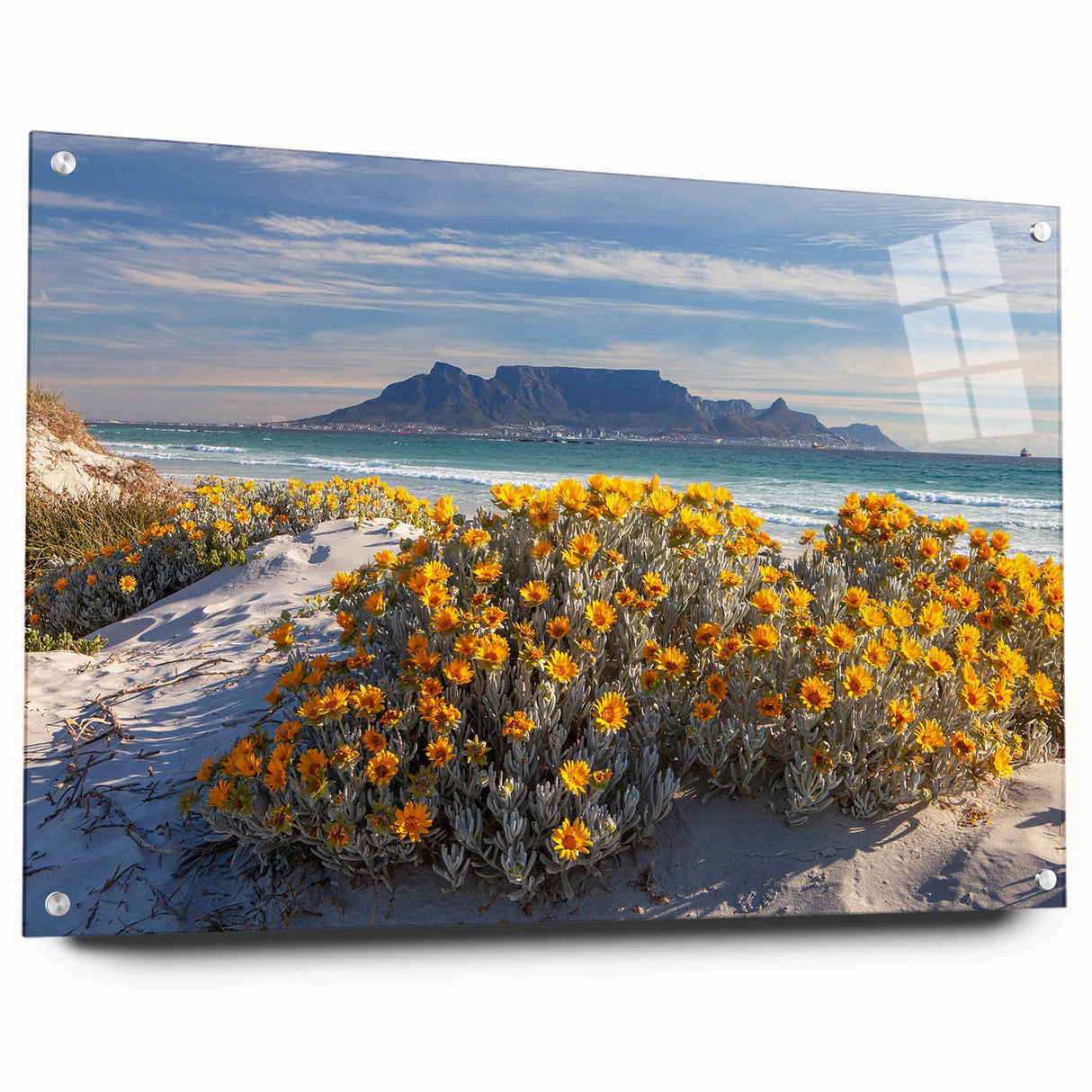 Acrylic print of a large abstract African landscape in earthy tones, suitable for bedroom or dining room decor.