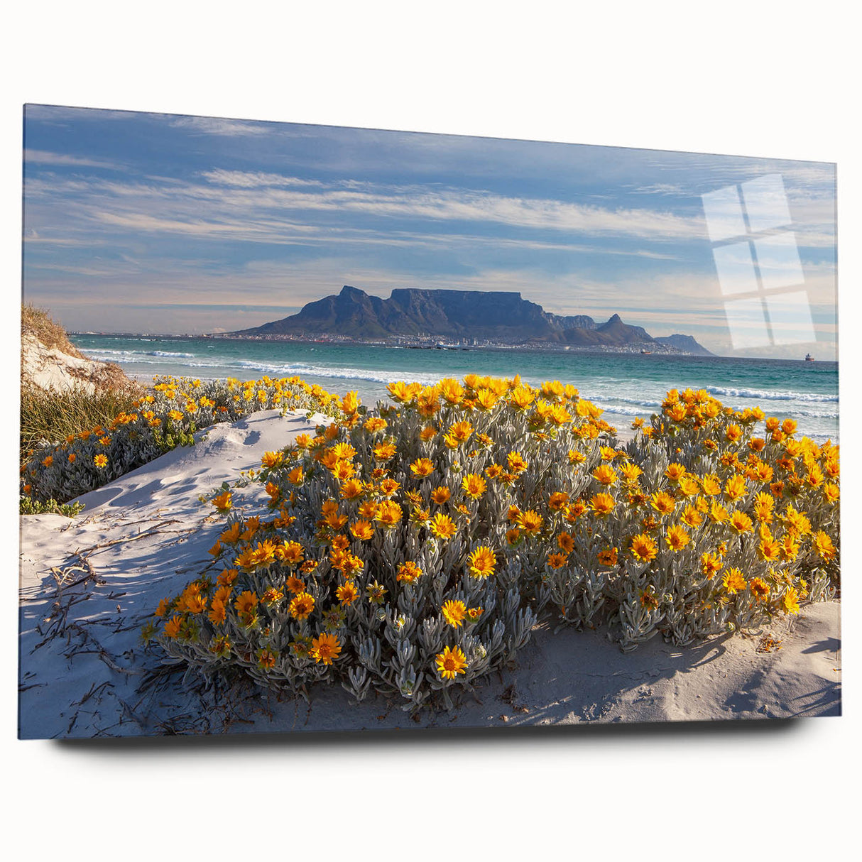 Large abstract wall art featuring a South African scenery in muted earth tones on acrylic glass.