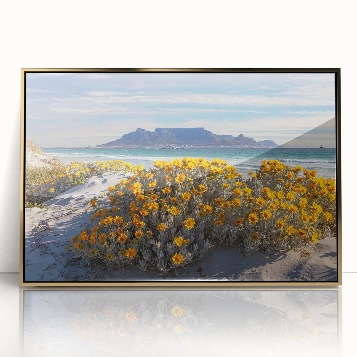 Large art print of a South African landscape in muted earth tones on a framed acrylic, ideal for modern art wall decor.