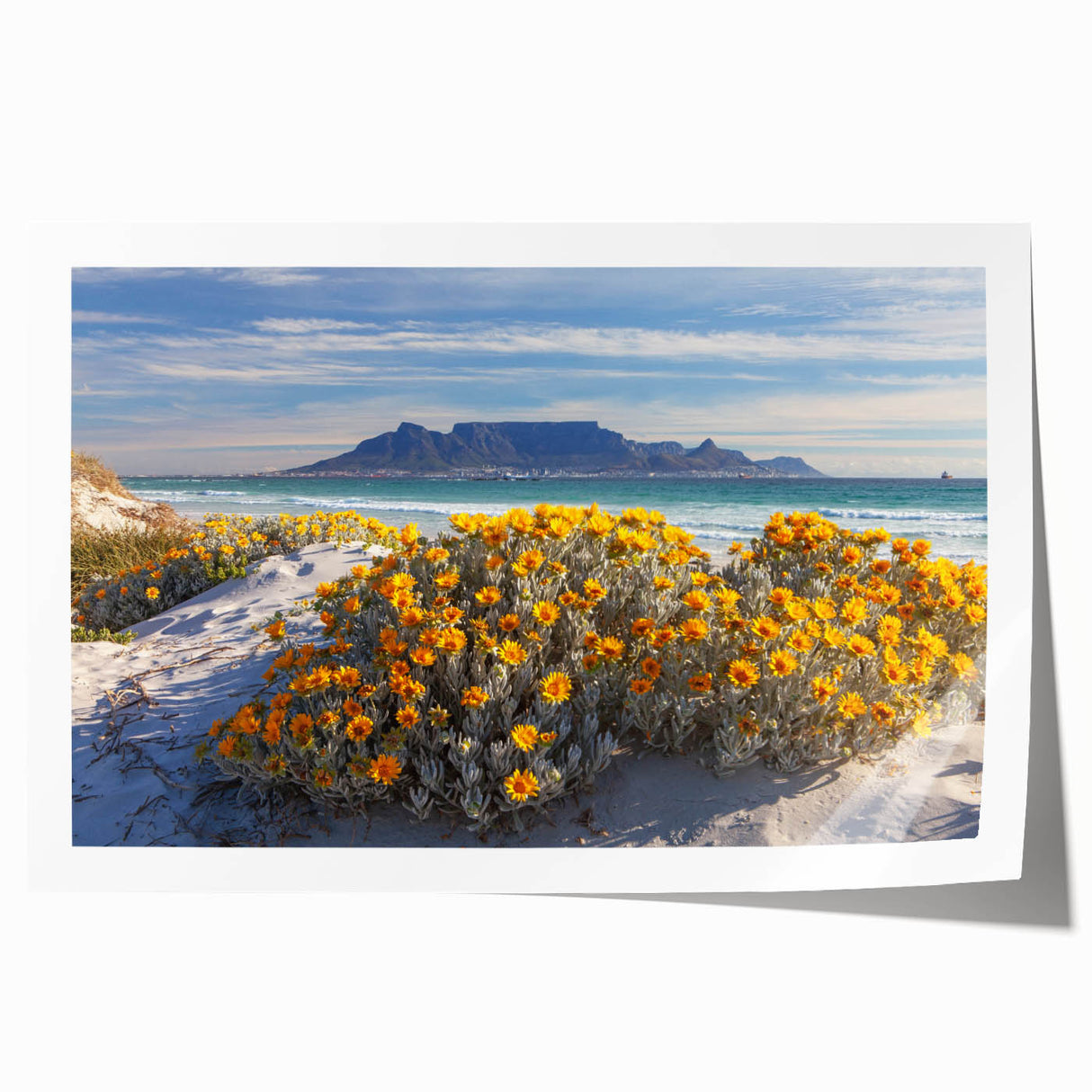 Extra large rolled print of a South African landscape with vibrant green hues and floral elements.