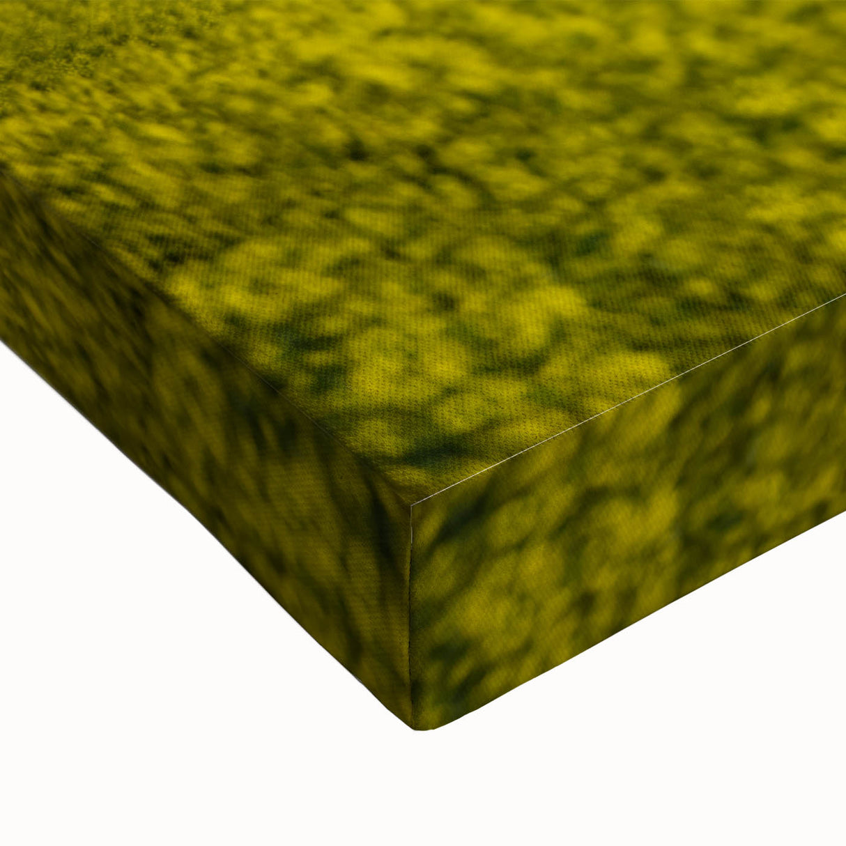 Black and white landscape painting of Saskatchewan scenery on large stretched canvas, suitable for bedroom decor.