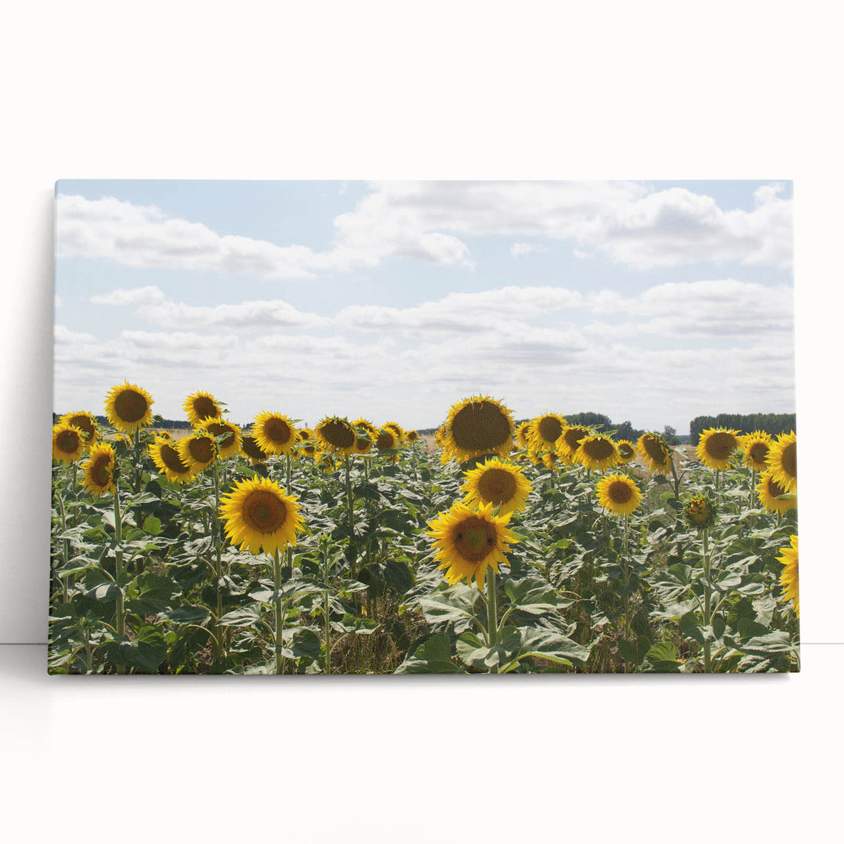 Black and white large art print of a scenic French village on stretched canvas, ideal for kitchen wall art.