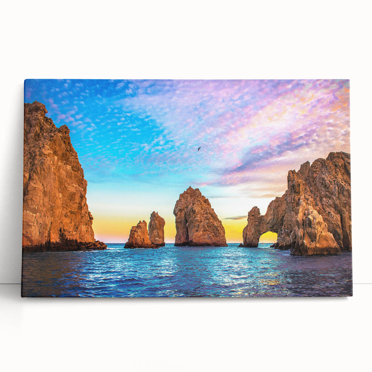 Black and white stretched canvas of Cabo San Lucas scenery, ideal for kitchen wall art or bedroom ambiance.