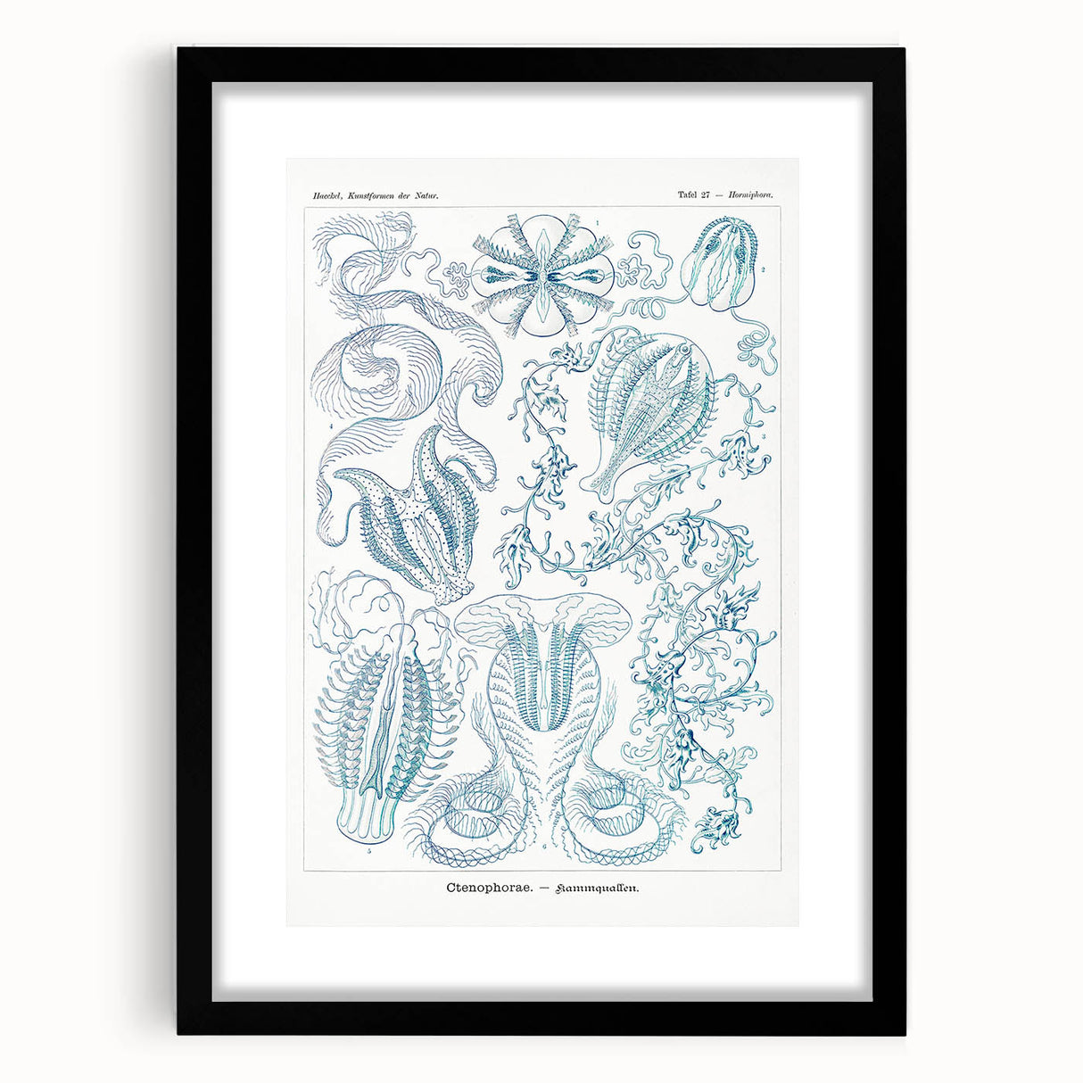 Modern Marine-Inspired Wall Art – Abstract Ctenophore Design