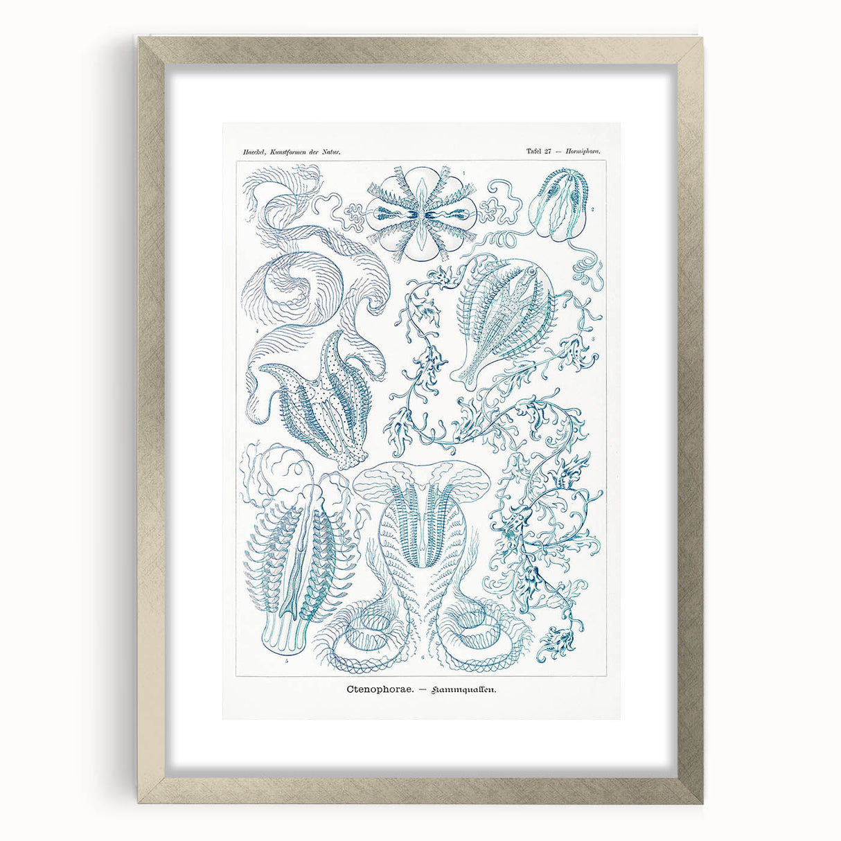 Modern Marine-Inspired Wall Art – Abstract Ctenophore Design