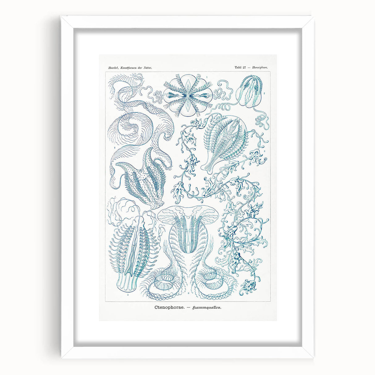 Modern Marine-Inspired Wall Art – Abstract Ctenophore Design