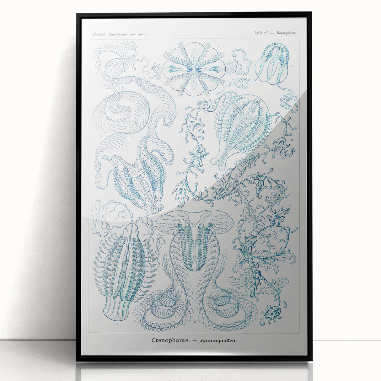 Modern Marine-Inspired Wall Art – Abstract Ctenophore Design
