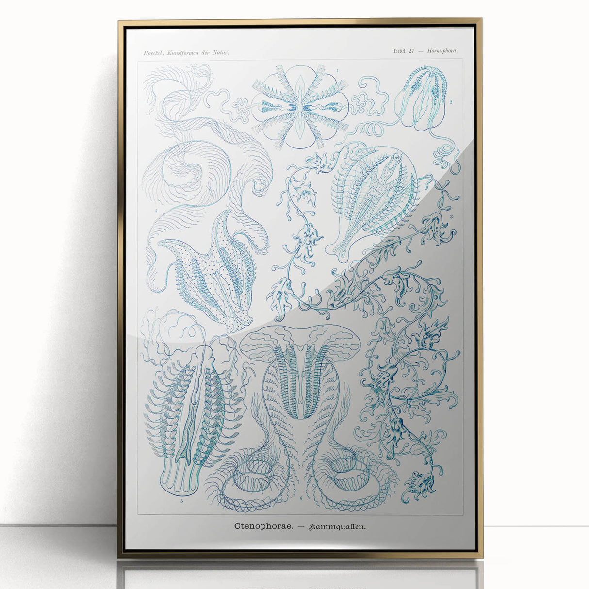 Modern Marine-Inspired Wall Art – Abstract Ctenophore Design