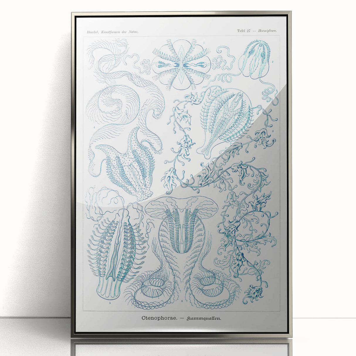Modern Marine-Inspired Wall Art – Abstract Ctenophore Design