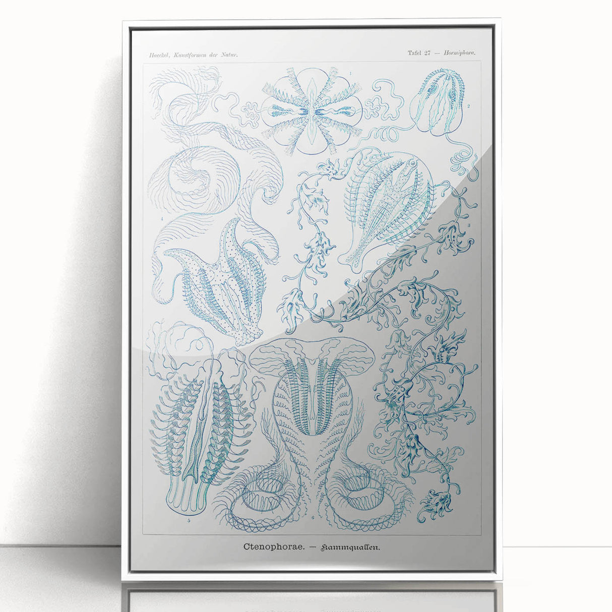 Modern Marine-Inspired Wall Art – Abstract Ctenophore Design