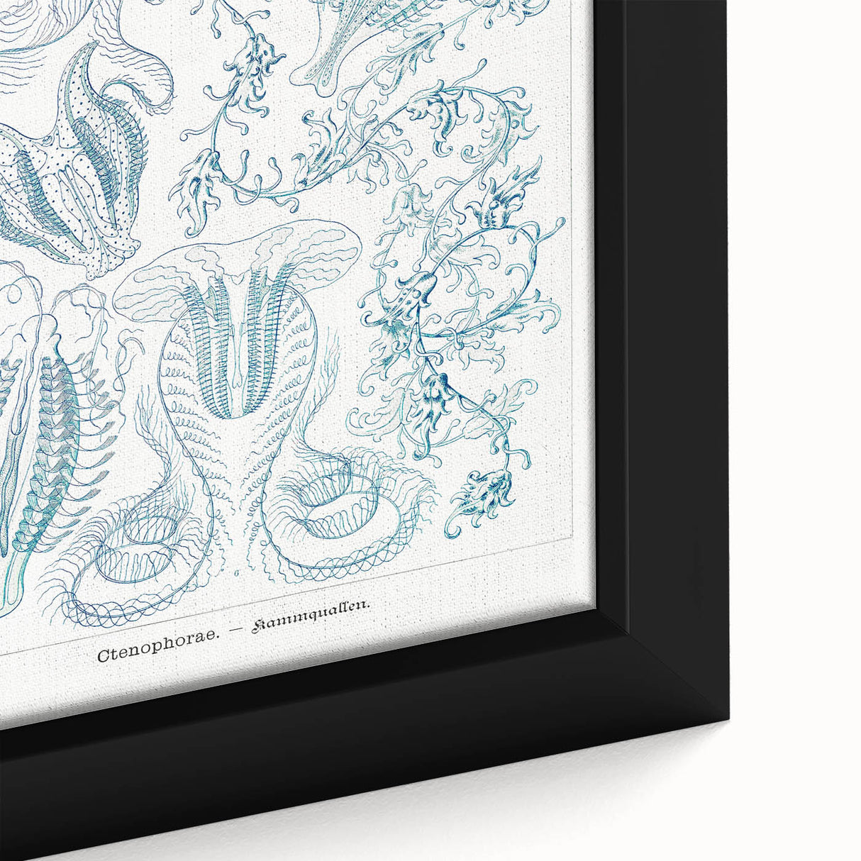 Modern Marine-Inspired Wall Art – Abstract Ctenophore Design
