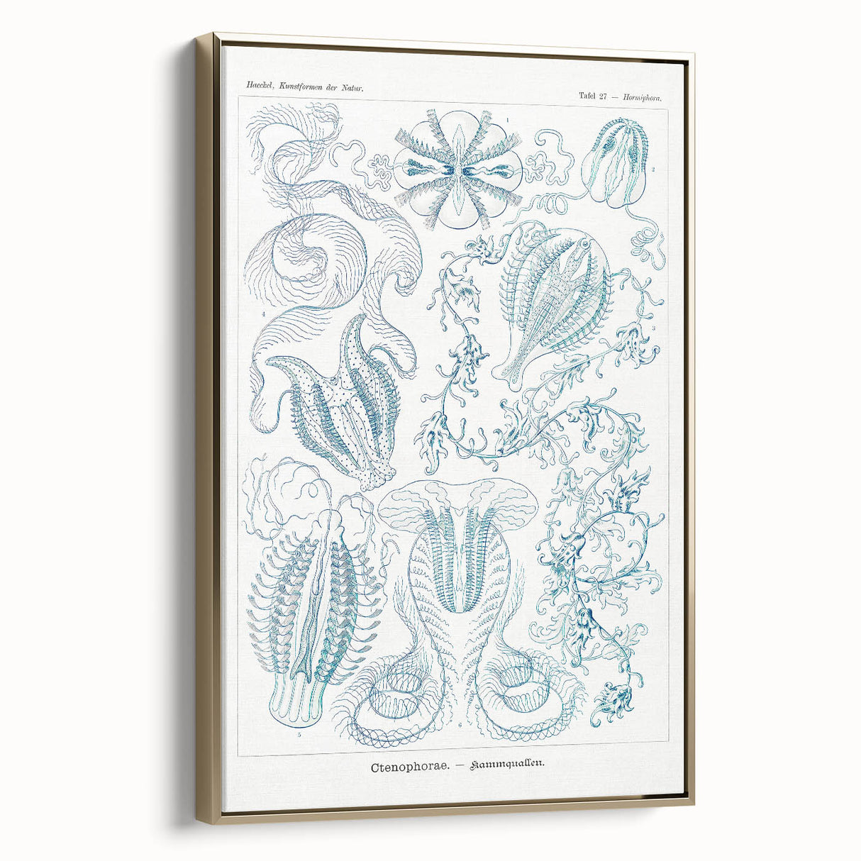 Modern Marine-Inspired Wall Art – Abstract Ctenophore Design