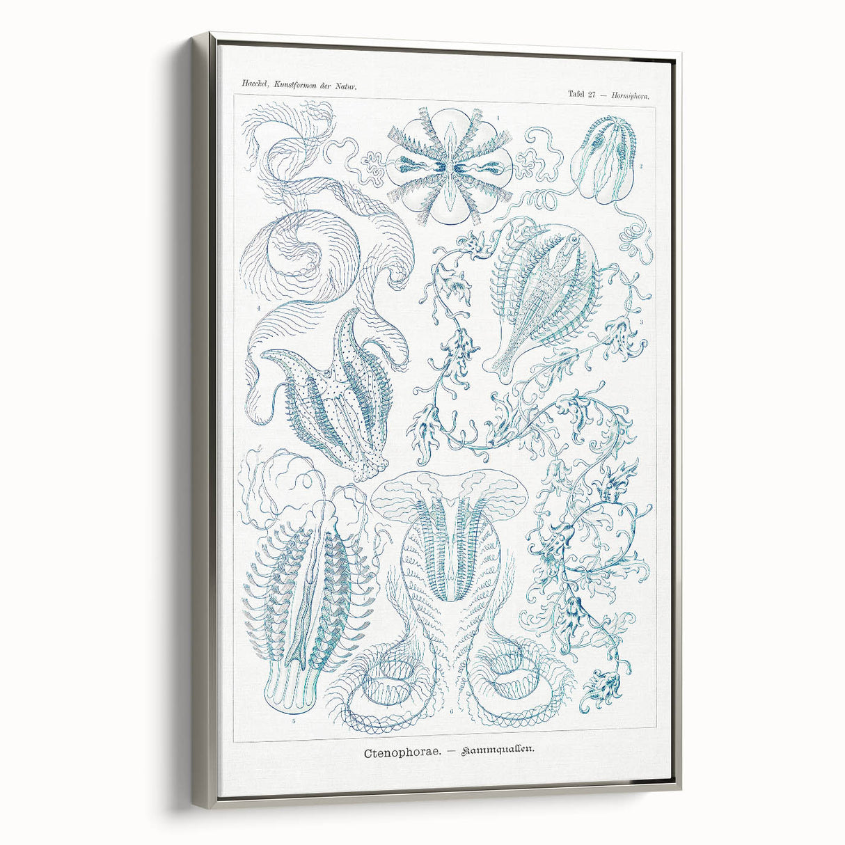 Modern Marine-Inspired Wall Art – Abstract Ctenophore Design