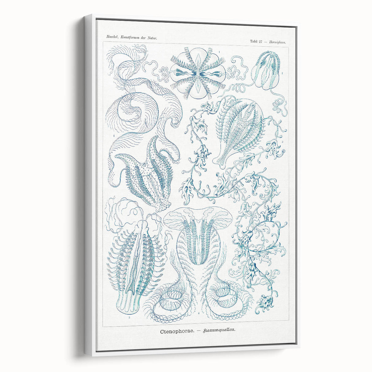 Modern Marine-Inspired Wall Art – Abstract Ctenophore Design