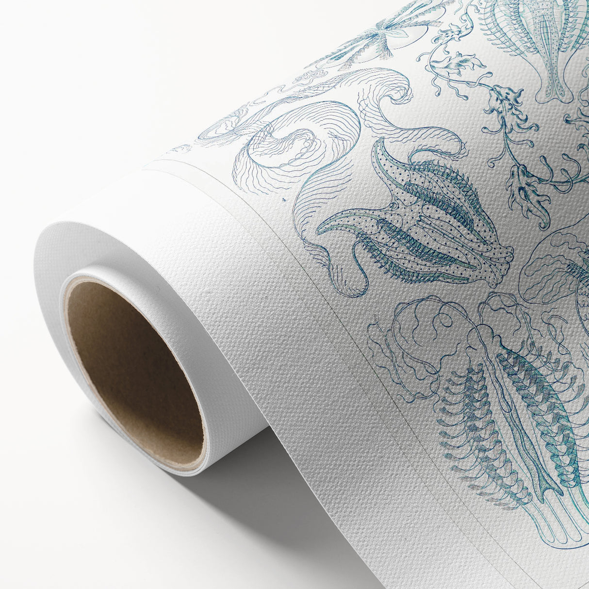 Modern Marine-Inspired Wall Art – Abstract Ctenophore Design