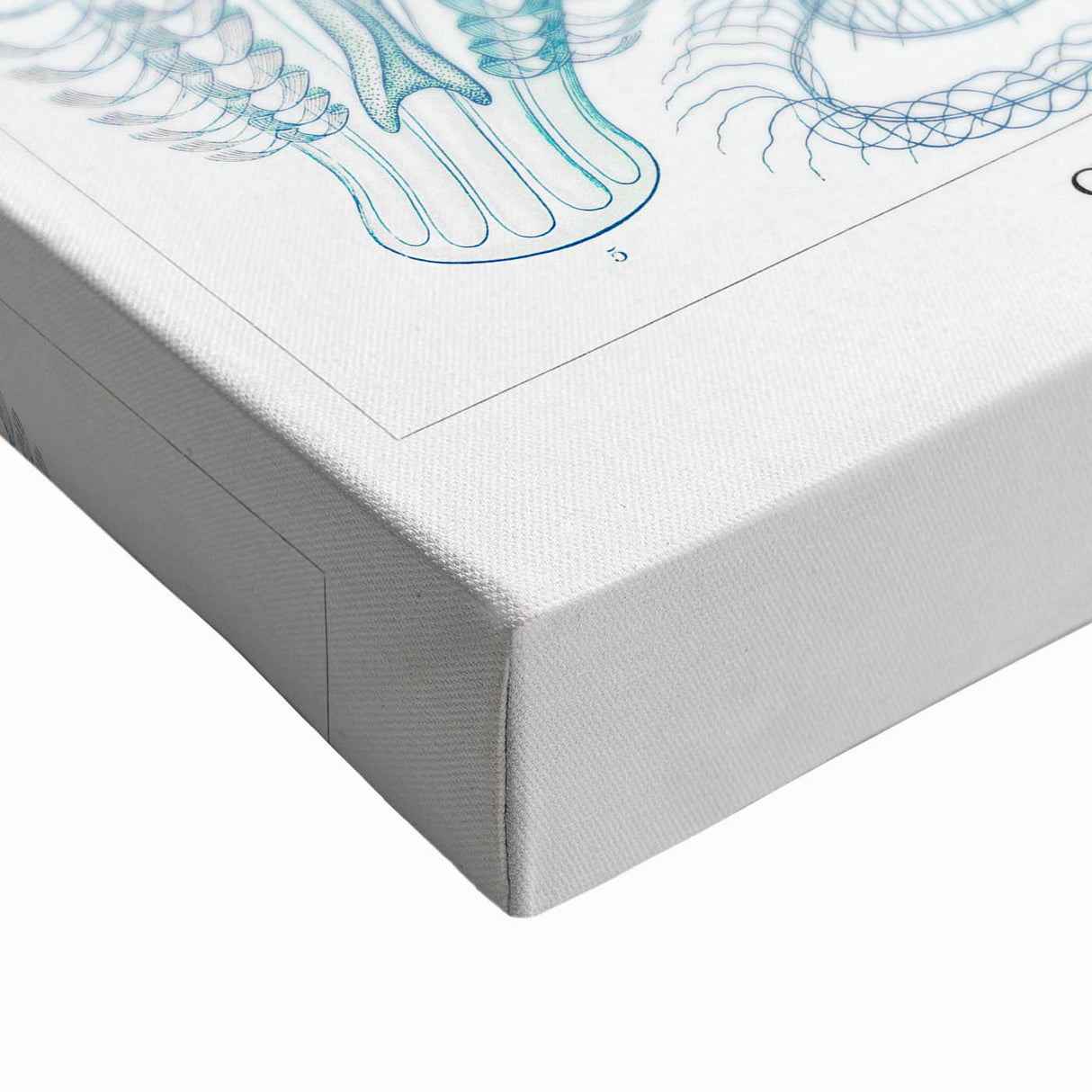 Modern Marine-Inspired Wall Art – Abstract Ctenophore Design