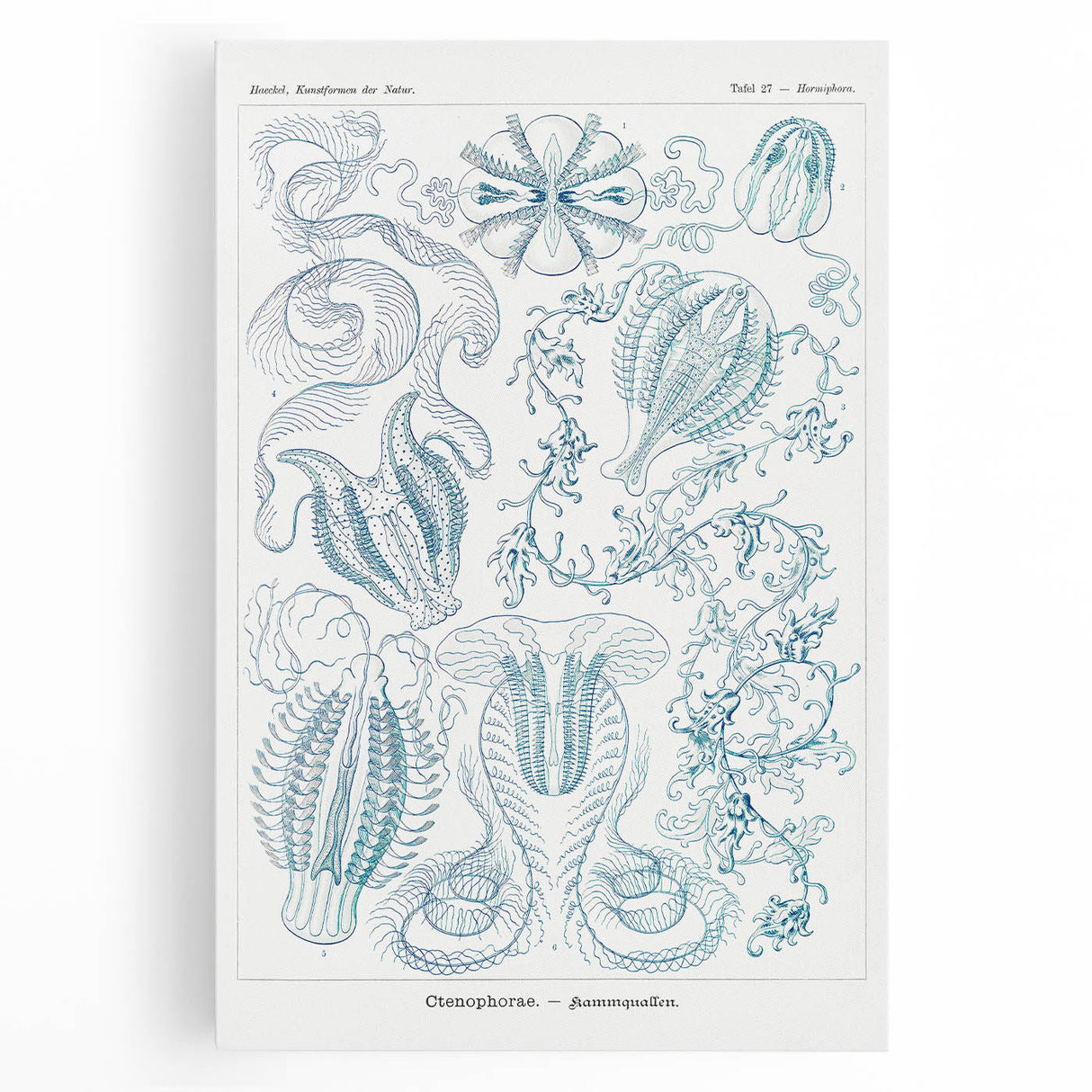 Modern Marine-Inspired Wall Art – Abstract Ctenophore Design