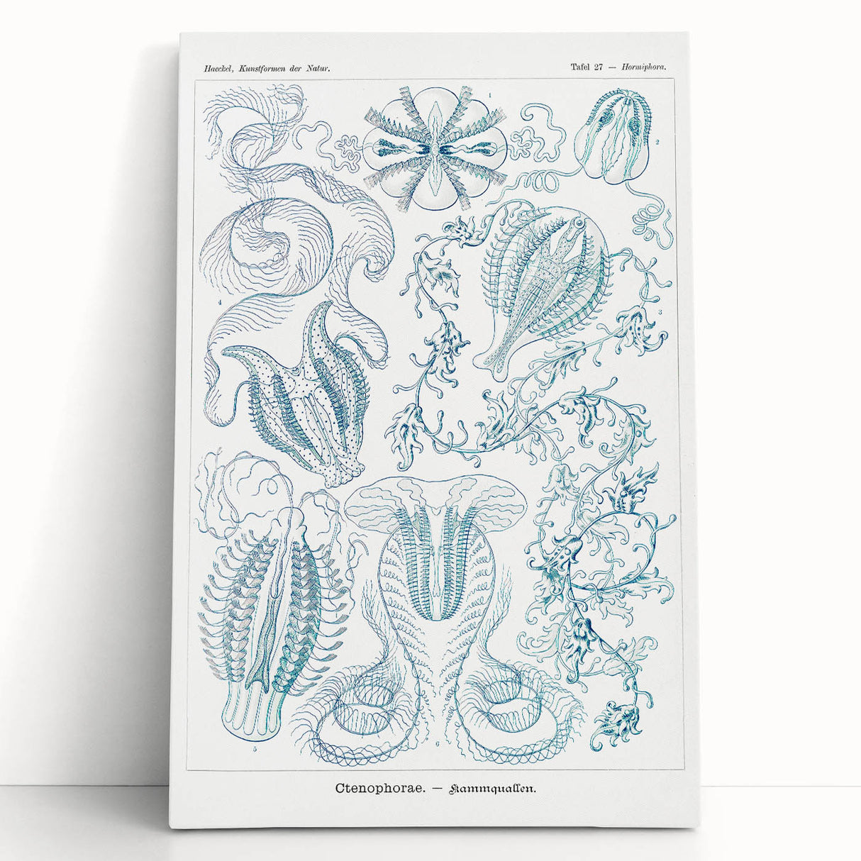 Modern Marine-Inspired Wall Art – Abstract Ctenophore Design