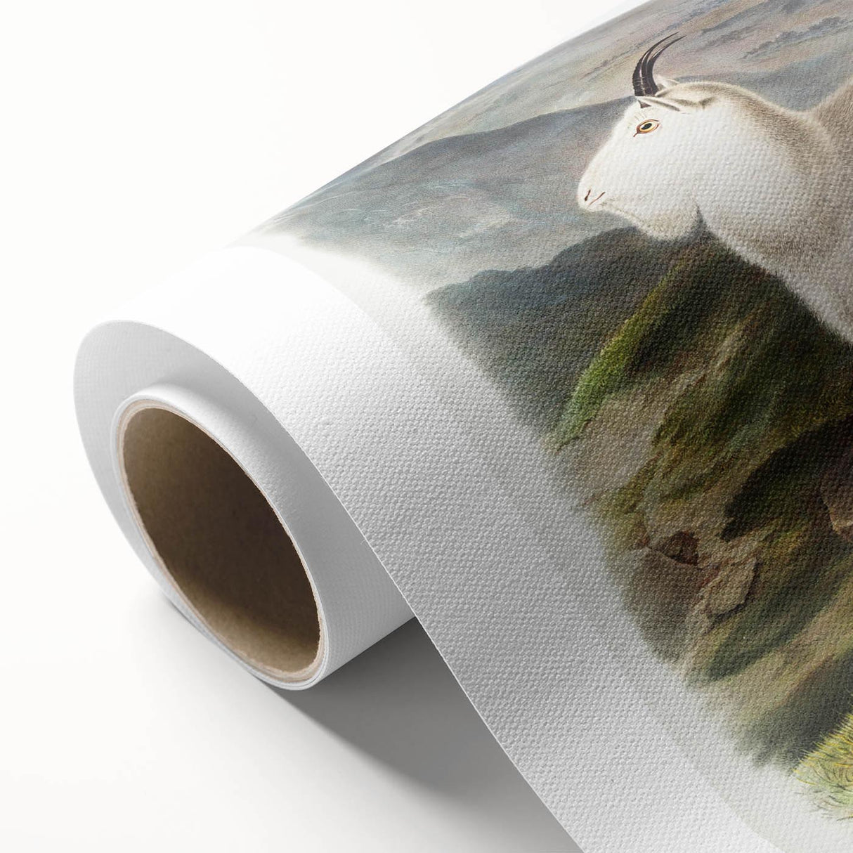 Romanticism Art - Rocky Mountain Goat Print by Audubon