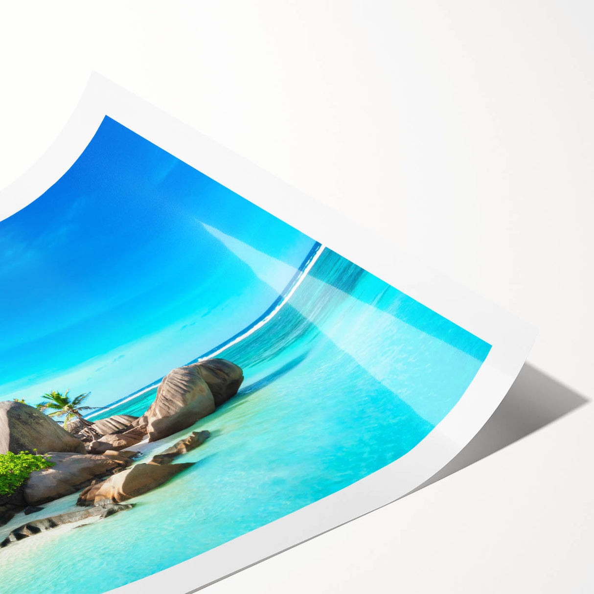 Extra large wall art featuring a line art design of flowers in muted earth tones on a rolled canvas.