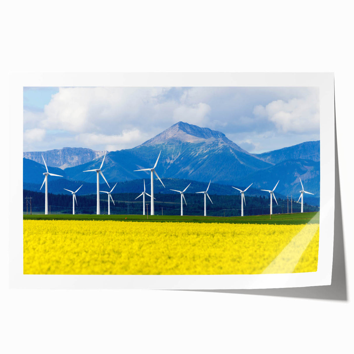 Extra large rolled print of Alberta, Canada scenery with lush floral elements in vibrant greens and blues.