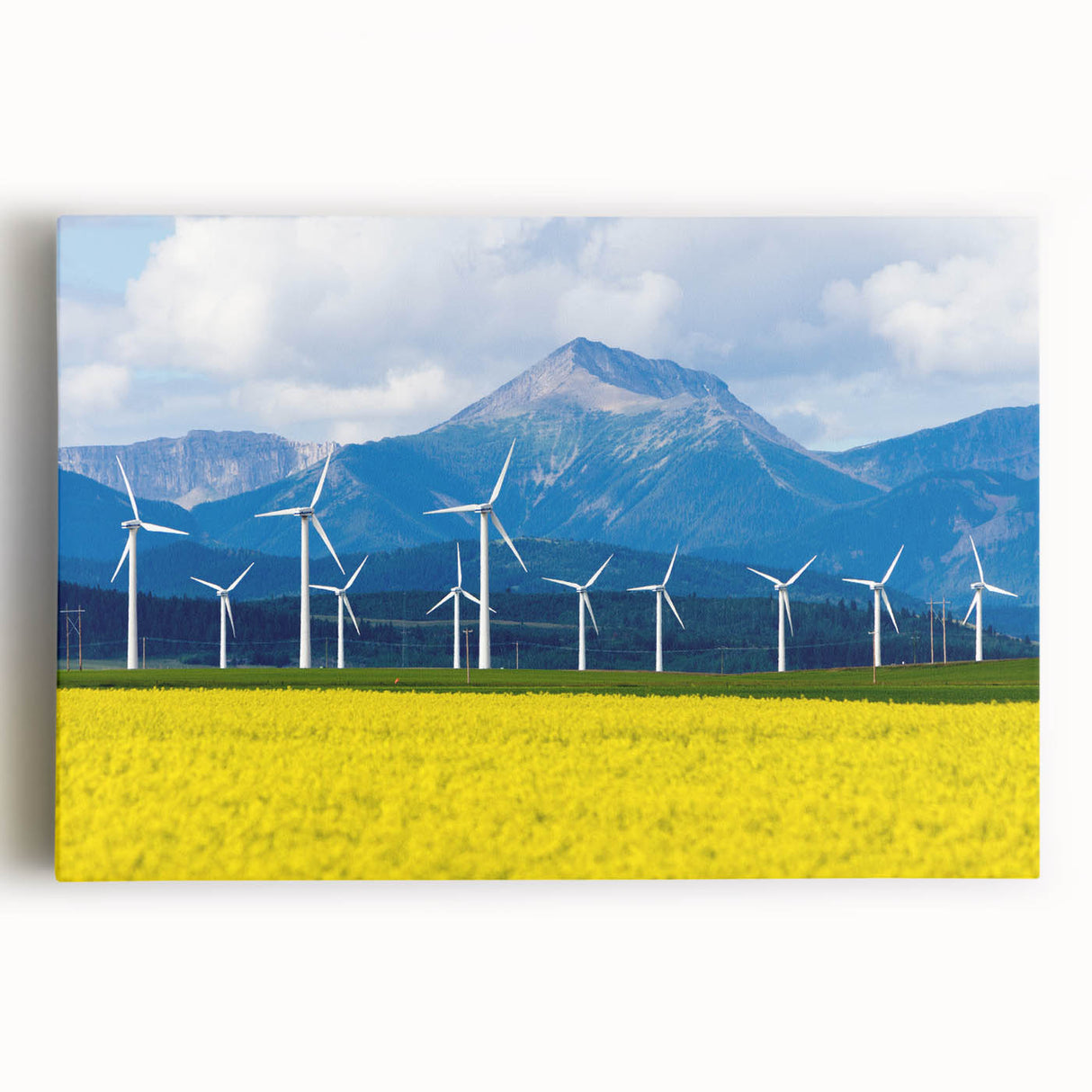 Black and white photograph of Alberta, Canada scenery on large stretched canvas, suitable for kitchen wall art.