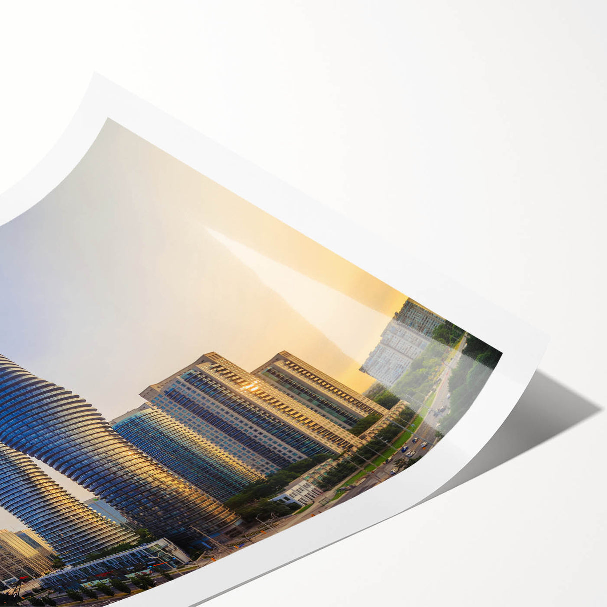 Extra large wall art featuring line art flowers in monochrome, rolled print format, ideal for large living room decor.