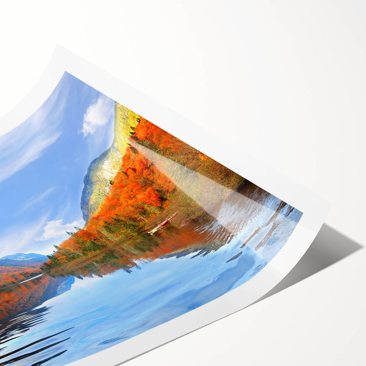 Extra large wall art featuring line art flowers in black and white on a rolled print, suitable for large living room spaces.