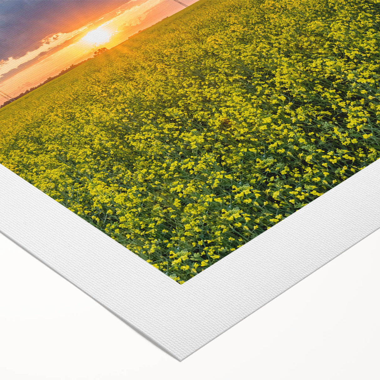 Art deco poster featuring a serene Saskatchewan landscape in muted greens and blues, ideal for dining room wall art.